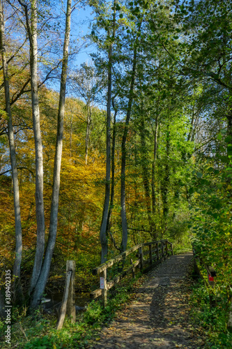 Wanderweg und Holzbrücke bei Haan-Gruiten  © hespasoft