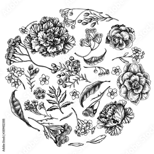 Round floral design with black and white wax flower, forget me not flower, tansy, ardisia, brassica, decorative cabbage