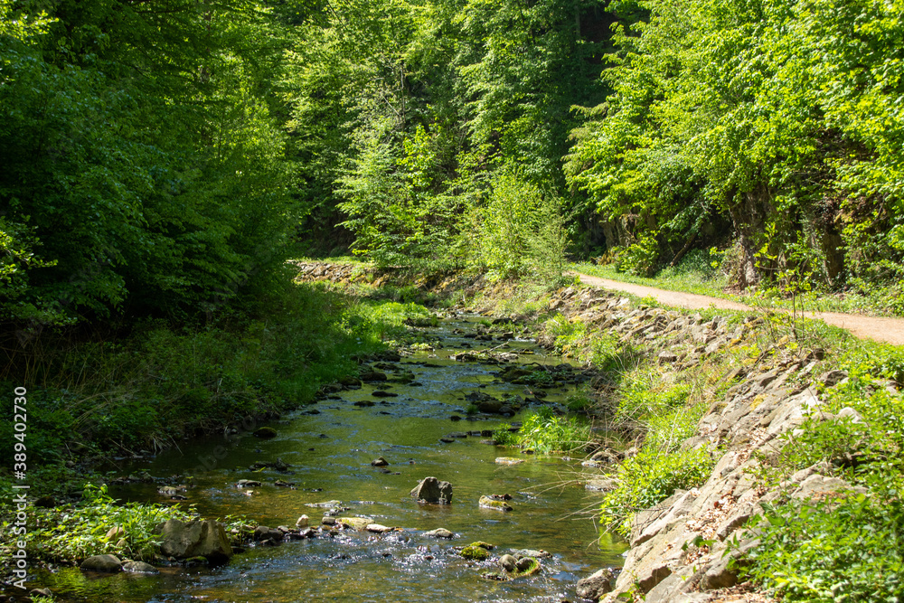 View of river course in the valley of the wild Weißeritz in the Rabenauer Grund near Freital Dresden,Germany