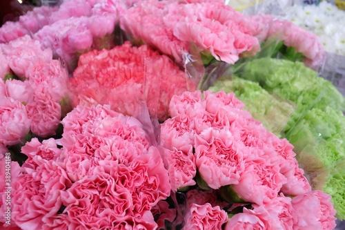 Fototapeta Naklejka Na Ścianę i Meble -  In selective focus sweet pink carnation flower blossom and selling at the flora market