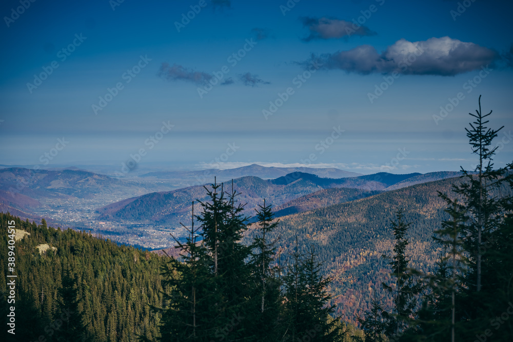 A tree with a mountain in the background