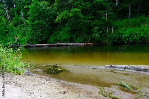 Nature  landscape river bank