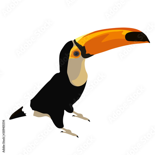 Toucan vector stock illustration. Woodpecker. A bright bird, a big yellow beak. Isolated on a white background. A tropical bird that lives in the jungles of the continent. South America fauna.