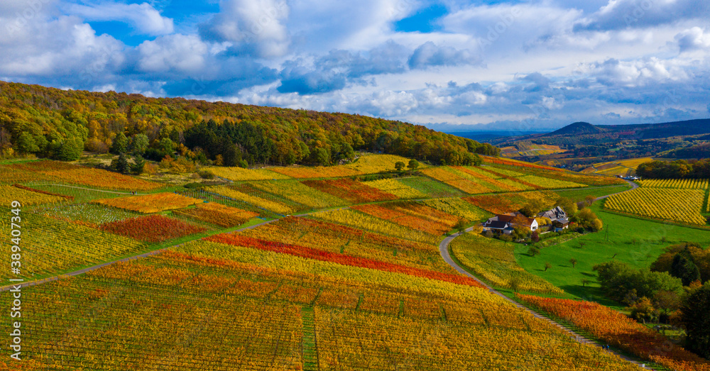 Obraz premium Oktober 2020 Weinberge Bad Neuenahr-Ahrweiler ; Ahrtal ; Indian Summer ;.Foto: Norbert Ittermann.www.norbert-ittermann.de.