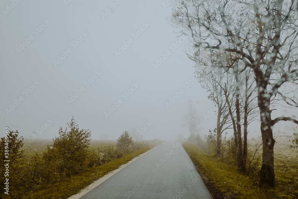 Fototapeta premium Neblige Fahrt durch diLandschaft Polens