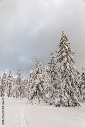 Winter landscape. Taganay national Park, Zlatoust city, Chelyabinsk region, South Ural, Russia.