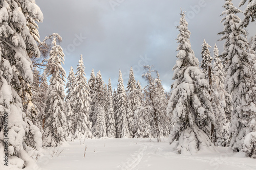 Winter landscape. Taganay national Park  Zlatoust city  Chelyabinsk region  South Ural  Russia.