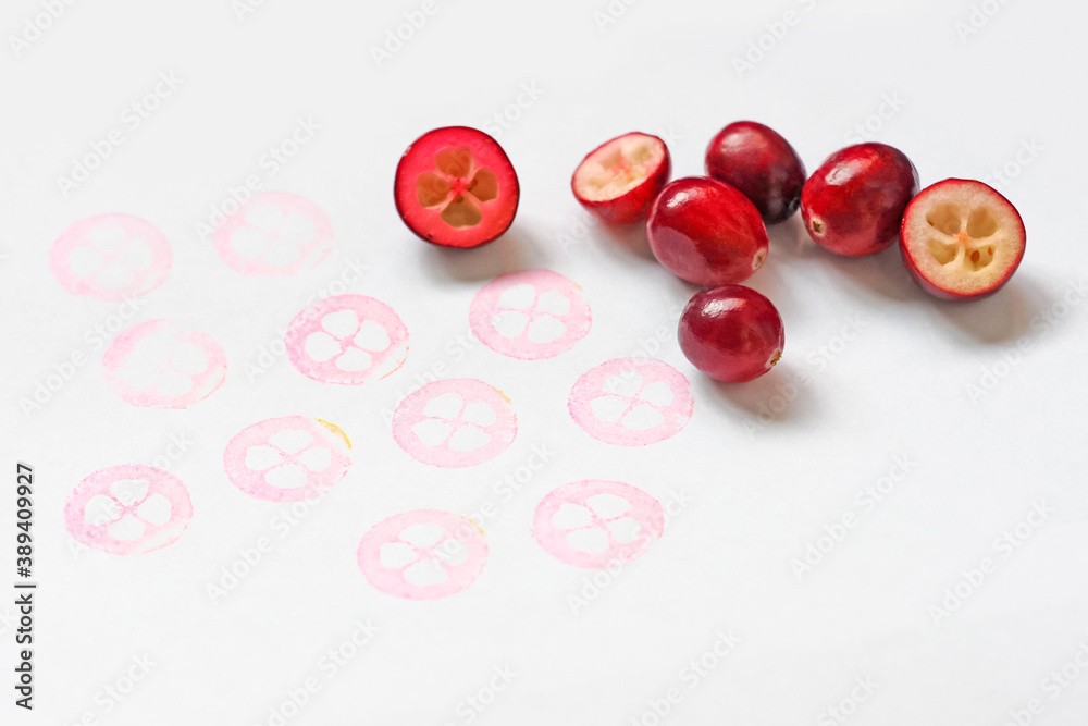 Cranberries as a stamp, natural berry prints, eco-friendly creativity. Fresh cranberry on white background, vaccinium oxycoccos. Ripe red cranberry berries