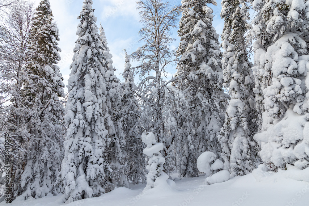 Fototapeta premium Winter landscape. Taganay national Park, Zlatoust city, Chelyabinsk region, South Ural, Russia.
