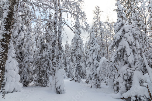 Winter landscape. Taganay national Park, Zlatoust city, Chelyabinsk region, South Ural, Russia.