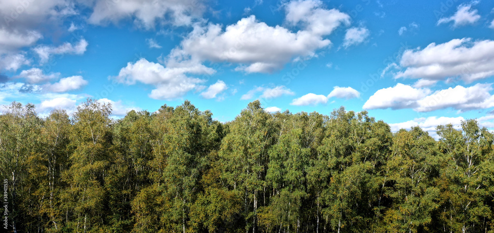 Concept picture, half green with a dense deciduous forest, half blue and white sky, from aerial photograph