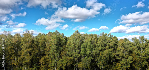 Concept picture  half green with a dense deciduous forest  half blue and white sky  from aerial photograph
