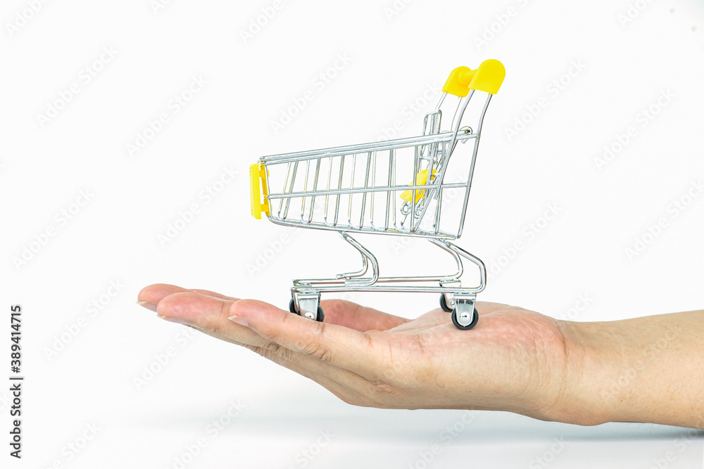 shopping cart on hand isolate on white background, concept of business online. shopping cart on hand isolate on white background, concept of business online.