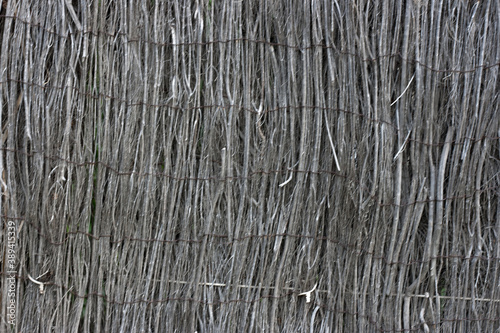 background wood heather nature