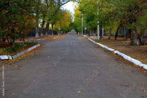 Autumn in the park © Яна Лаврёнова