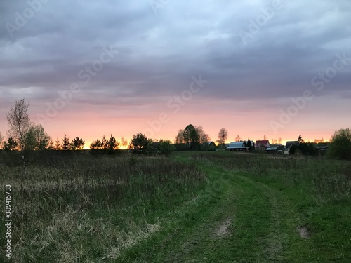 sunset in the field