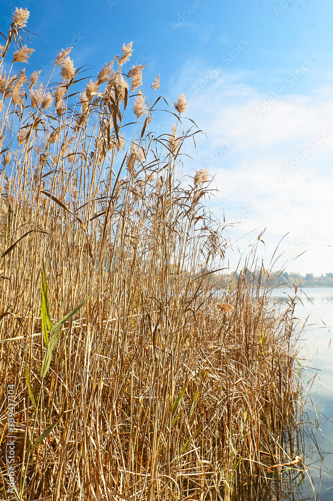 Obraz premium Autumn trekking