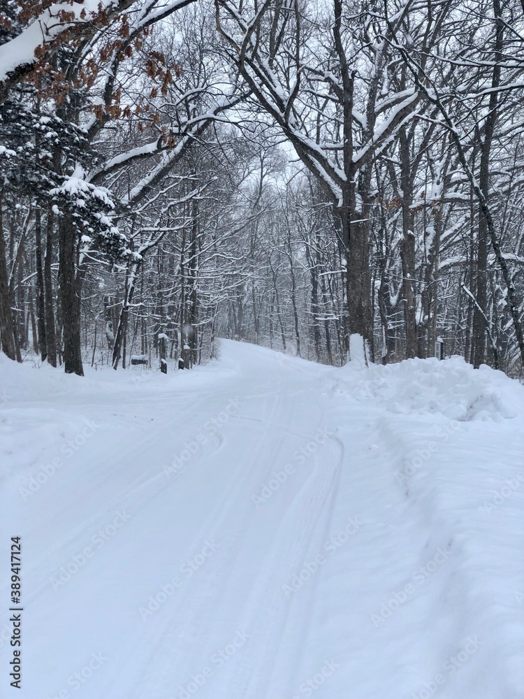 Fototapeta premium snow-covered road in the park