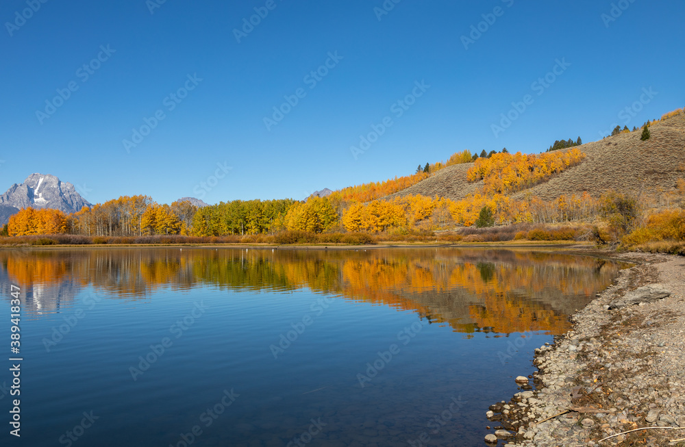 Scenic Autumn Landscape Reflection in the Tetons