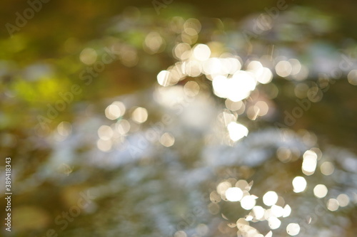 Out of focus lights, abstract view in the forest on a morning autumn day © Alessio Russo