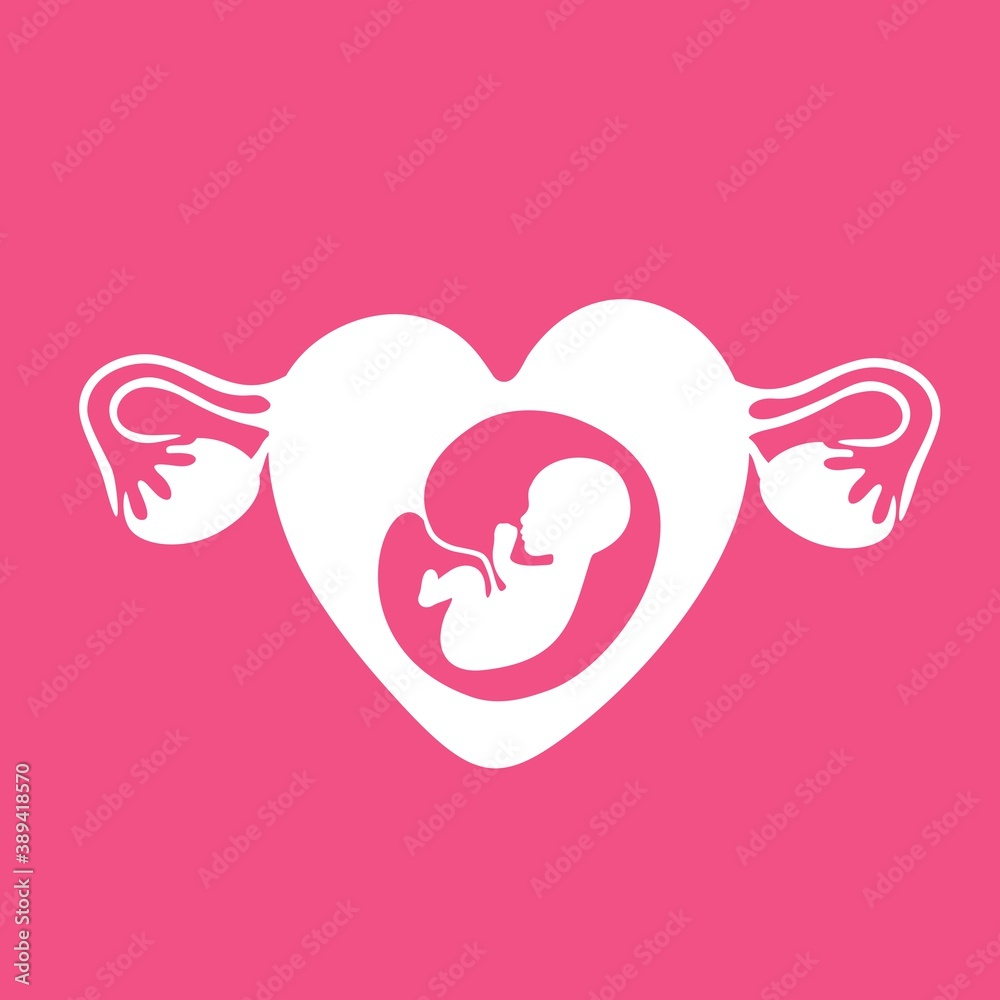 Silhouette of a baby in a female womb