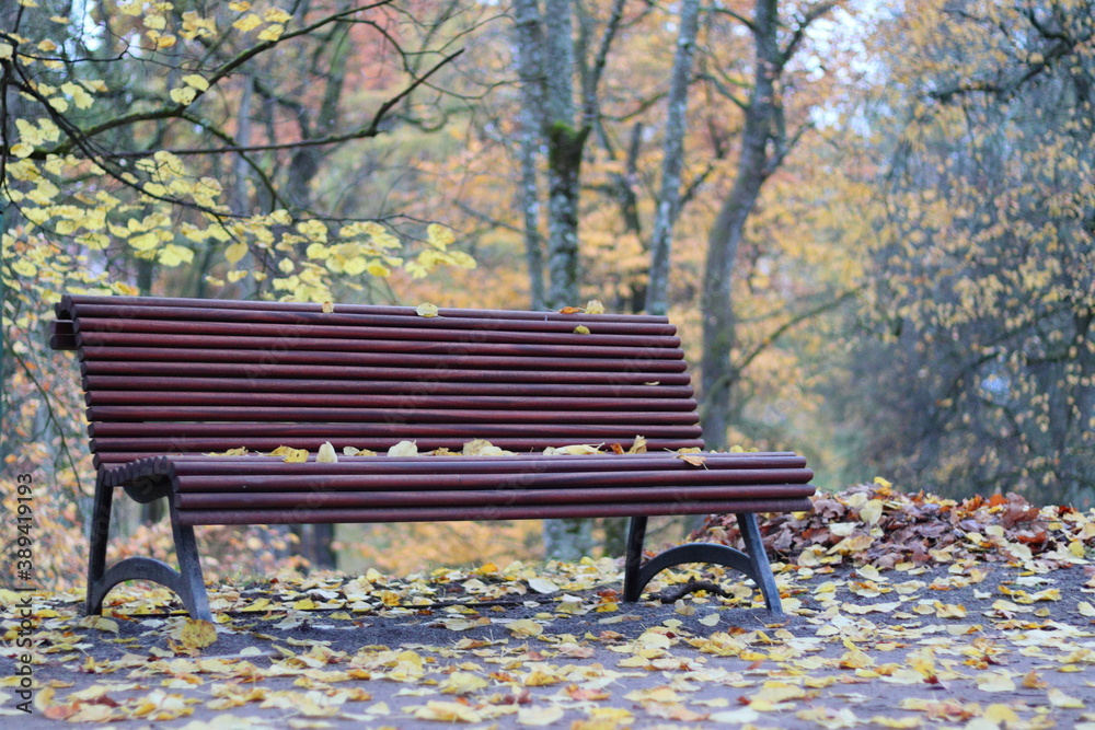 Park bench in the fall