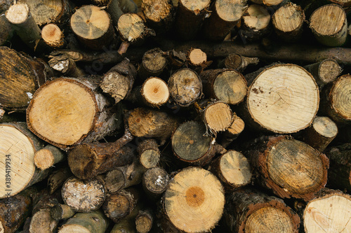 Firewood pile texture for background. Natural energy concept. Cut wood for heating.