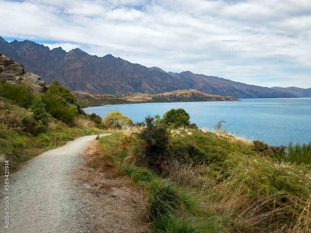 View of Lake Wakatipu from Jack's Point Trail, Queenstown Area, South Island, New Zealand