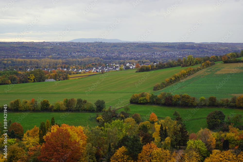 Weinreben mit Rebstock im Herbst in Wiesbaden Frauenstein mit Blick auf den Rheingau und am Horizont auf den Donnersberg	