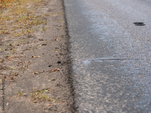 road in the park