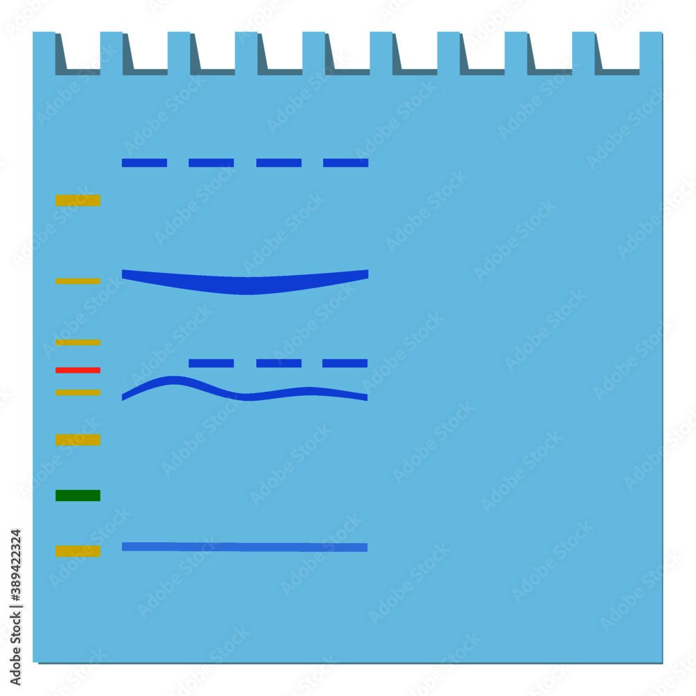 Illustration of fail result on western blot gel. Illustration of fail result on western blot gel.