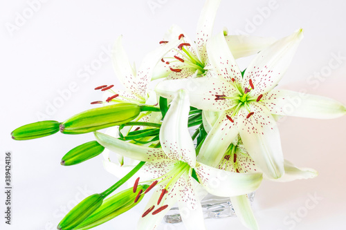 A bouquet of white lilies with speckled petals and green buds on a white background. Holiday bouquet
