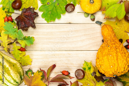 Halloween concept. Autumn Natural harvest with orange pumpkin, fall dried leaves, red berries and acorns, chestnuts on wooden background in shape frame. Beauty Holiday autumn festival concept.