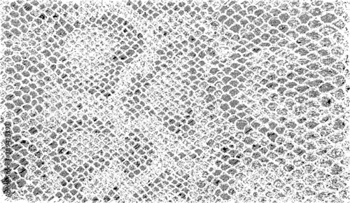 Snakeskin pattern imitation. Lines and spots structural texture. Cool and artsy faux leather background. Abstract vector illustration. Black isolated on white. EPS10