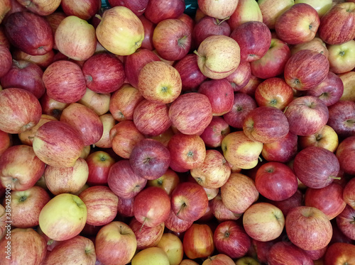  Pommes Jona gold