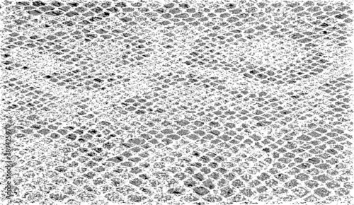 Snakeskin pattern imitation. Lines and spots structural texture. Cool and artsy faux leather background. Abstract vector illustration. Black isolated on white. EPS10