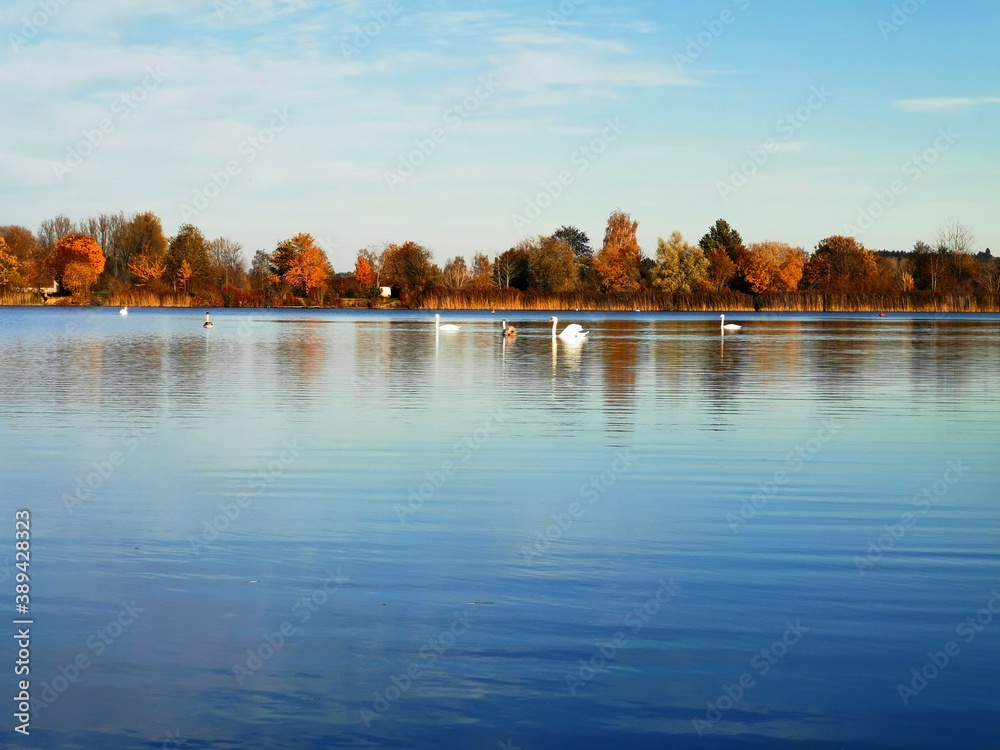 custom made wallpaper toronto digitalautumn