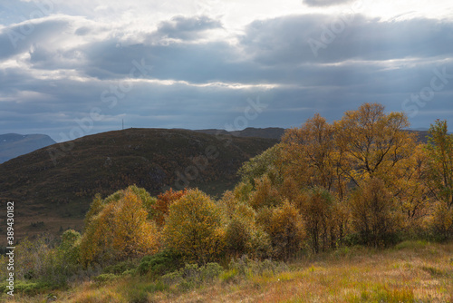 Autemn colors. © Johannes Jensås