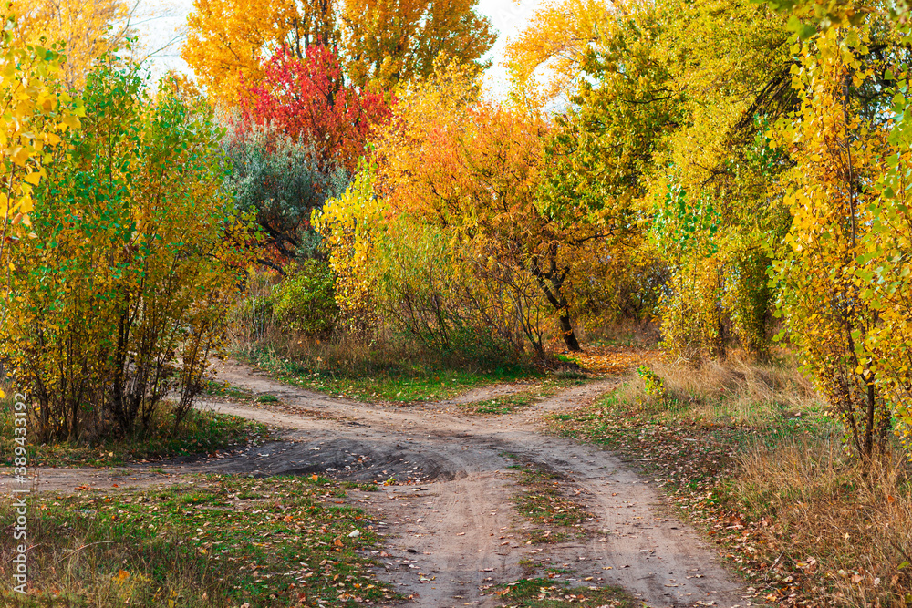 crossroads dirt road among trees and dry autumn grass