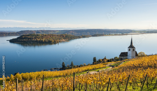 St. Peter’s Island at the lake Biel (Bielersee) and church in Ligerz in autumn, Switzerland