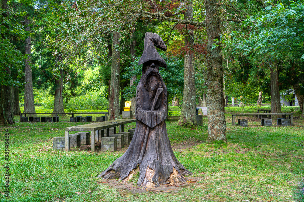 Φωτογραφία Azores, Sao Miguel Island, in the forest near the Mata-Jardim José do Canto