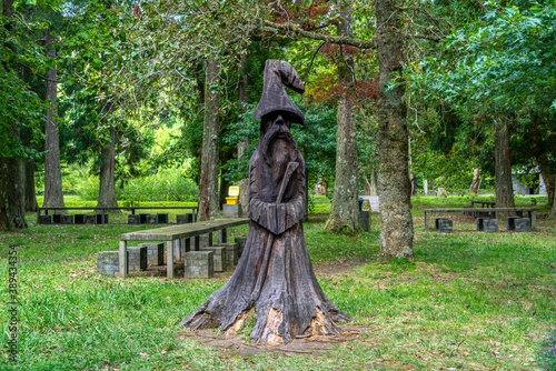Photos Azores, Sao Miguel Island, in the forest near the Mata-Jardim José do Canto