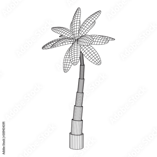 Coconut palm tree with leaves.