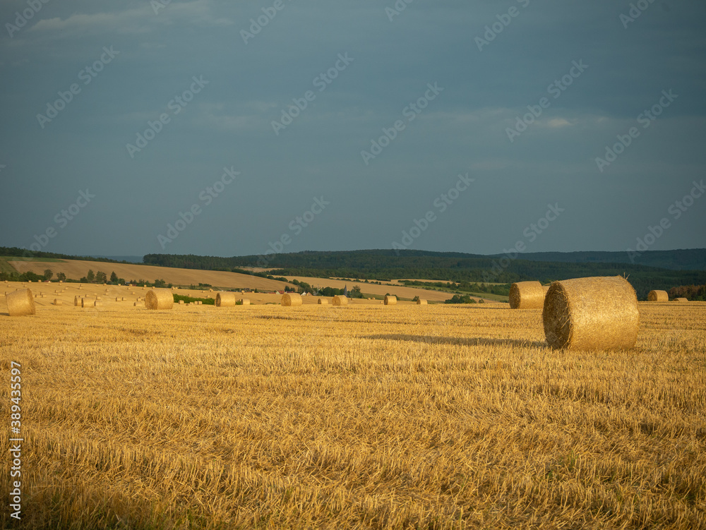 Fototapeta premium Strohballen kurz nach der Ernte