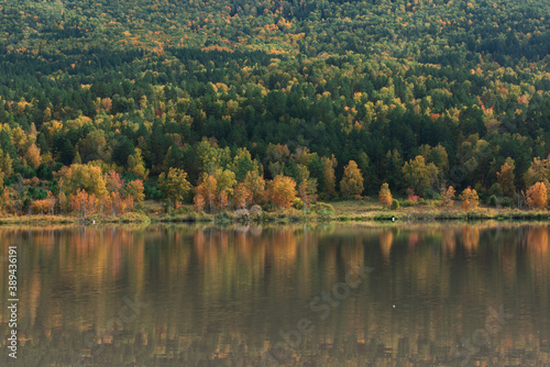 Autumn reflections of the M...
