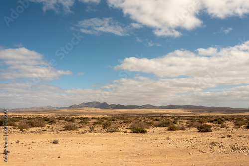 Typical landscape of Fuerteventura, Canary Islands. Barlovento desert area. 