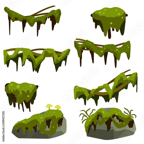 Set of branches with moss and green grass. Marsh plant. Part of the scenery of the jungle. swamp Stones with mold. bog vine of trees. Cartoon flat illustration