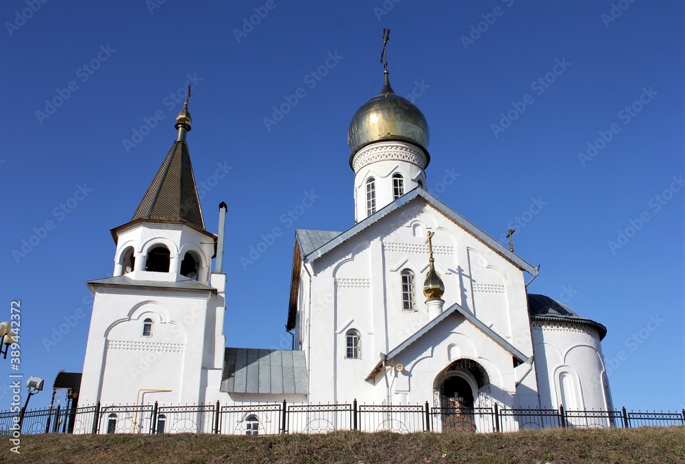 Church of the Donskoy Icon of the Mother of God in the village of Kholki