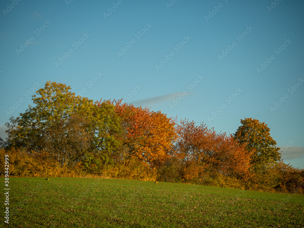 Landschaft im Herbst