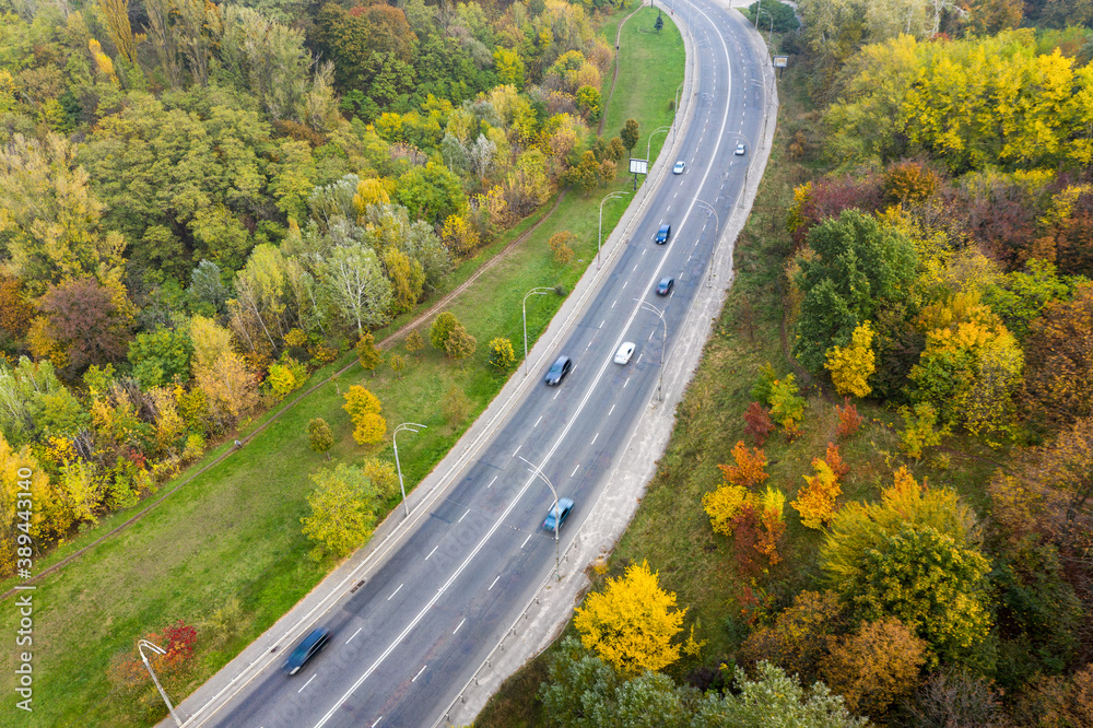 Aerial view of road surrounded by autumn forest